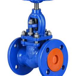 Globe Valve