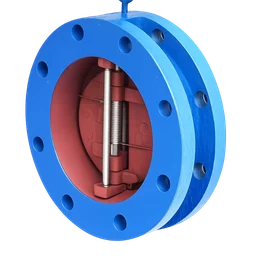 Check Valve
