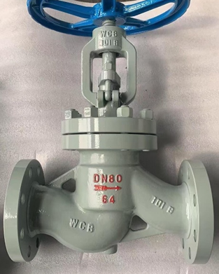 Globe Valve vs Gate Valve: Key Differences You Should Know