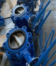 Difference of Wafer and Lug Butterfly Valve
