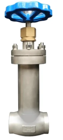 Cryogenic Steam Jacket Globe Valve