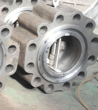 Dual Plate Lug Check Valve