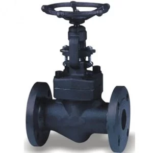 F321 Gate Valve