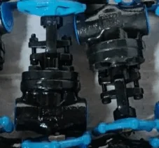 Forged Steel gate Valve