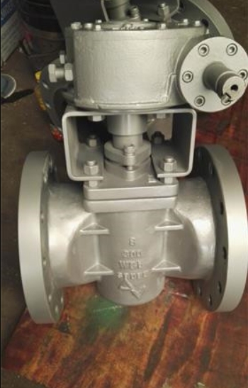 Electric Actuated Plug Valve