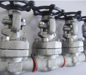 Incoloy Gate Valve