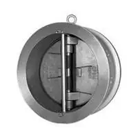 Super Duplex Dual Plate Check Valve