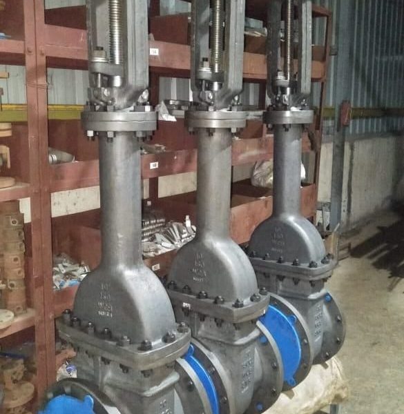 Industrial bellow seal gate valve manufacturer in USA showcasing durability for high performance applications.