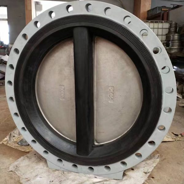 Dual Plate Flanged Check Valve