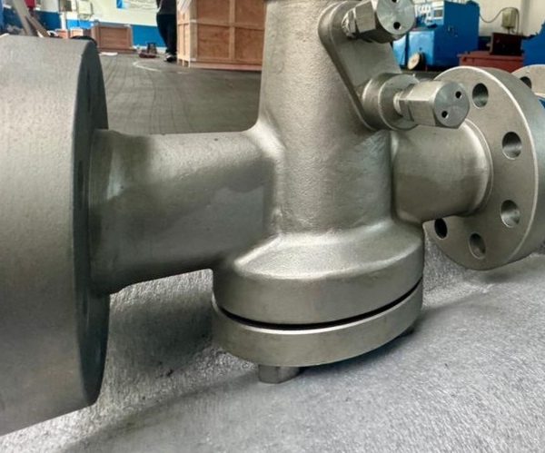 Duplex Plug Valve